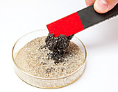 Magnet Pulls Iron Filings From Sand