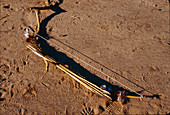Hadza Bow and Arrows, Tanzania
