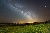 Milky Way over spring flowers