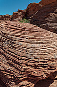 Navajo Sandstone at Horseshoe Bend