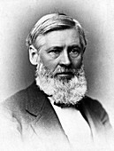 Asa Gray, American Botanist