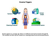 Eczema triggers, infographic