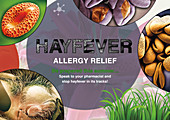 Hayfever, Poster Illustration