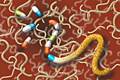 Antibiotic Resistant Bacteria, Illustration