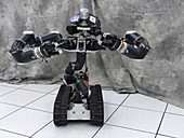 Surrogate Robot