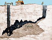 Cross-Section of Lead Mine with Fossil Remains