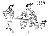 Sorting Silkworm Cocoons, Silk Making in China