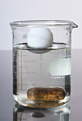 Density of Ping Pong Ball and Stone