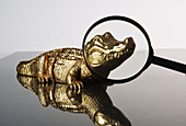 Magnifying Glass and Toy Crocodile