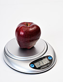 Apple Weight in Grams