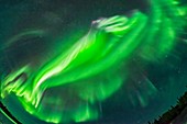 Auroral Convergence at the Zenith