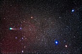 Comet Giacobini-Zinner (21P) Near The Kids in Auriga