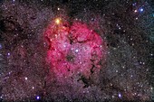 Star-forming region IC 1396 in Cepheus