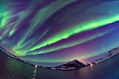 Purple Auroral Curtains from Norway