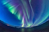 Purple Auroral Curtains in Twilight from Norway