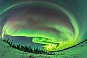 Auroral Arcs