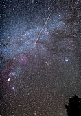Lone Meteor in the Winter Milky Way