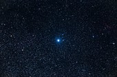Delta Cephei Double and Variable Star