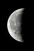 22-Day Moon