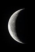 24-Day Moon