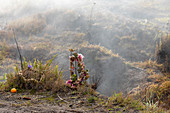 Religious offerings, Kilauea volcano, Hawaii, USA