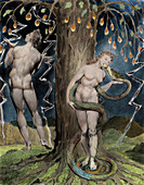 Paradise Lost, The Temptation and Fall of Eve