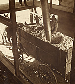 Cotton Gin Unloading by Pneumatic Suction, c. 1900