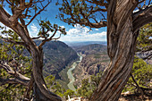 Green River in Dinosaur National Monument, CO