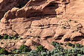 Cross-bedded Sandstone at Canyon de Chelly