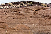 Strata showing Volcanic Ash Deposition