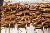 Cooked grasshoppers on sticks