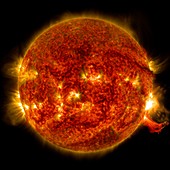 Active Sun and solar flare, SDO ultraviolet image