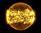 One year of solar activity, SDO ultraviolet composite