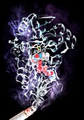 Nicotine addiction enzyme therapy, illustration
