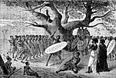 19th Zulu warriors, illustration