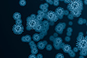 Viruses, illustration