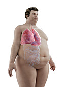 Illustration of an obese man's lungs