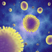 Influenza viruses, illustration