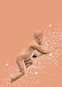 Baby crawling, illustration