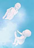 Babies floating, illustration