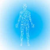 Human body biomes, illustration