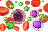 HIV infection, illustration