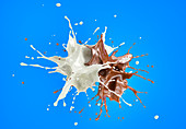 Milk and chocolate splashing against each other, illustratio
