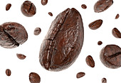 Group of coffee beans falling, illustration