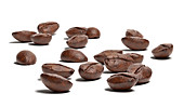 Group of coffee beans on white surface, illustration