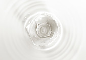 Milk double crown splash with ripples, illustration