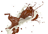 Milk and liquid chocolate splashes, illustration