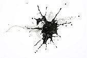 White and black paint explosion, illustration