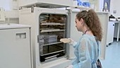 Organ-on-a-chip artificial liver research