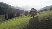 Agricultural alpine valley, Switzerland